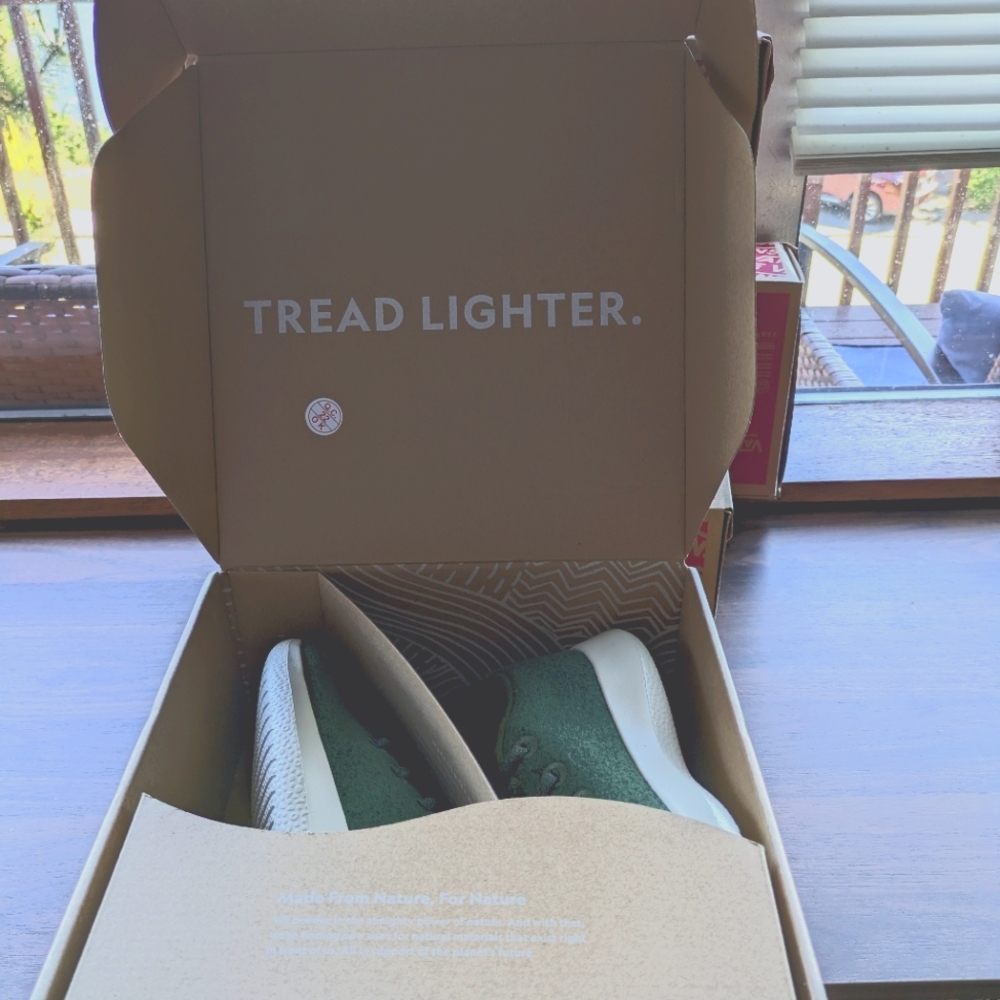 Allbirds Wool Runners in Thunder Green